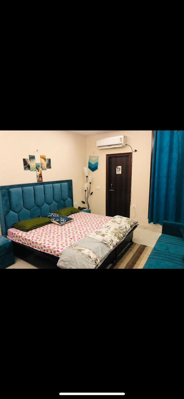 latest property